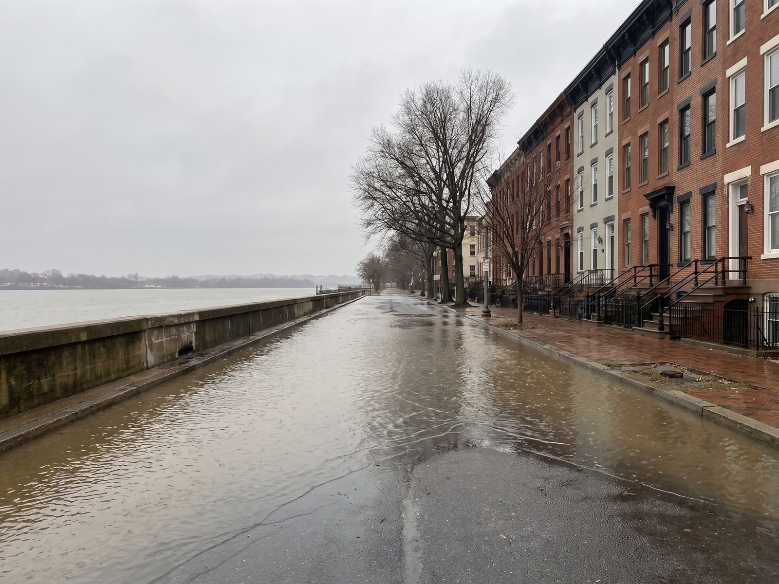 Standing water on a low-lying riverfront street Rainwater standing across a low-lying riverfront street with a seawall, row houses and street trees behind it.