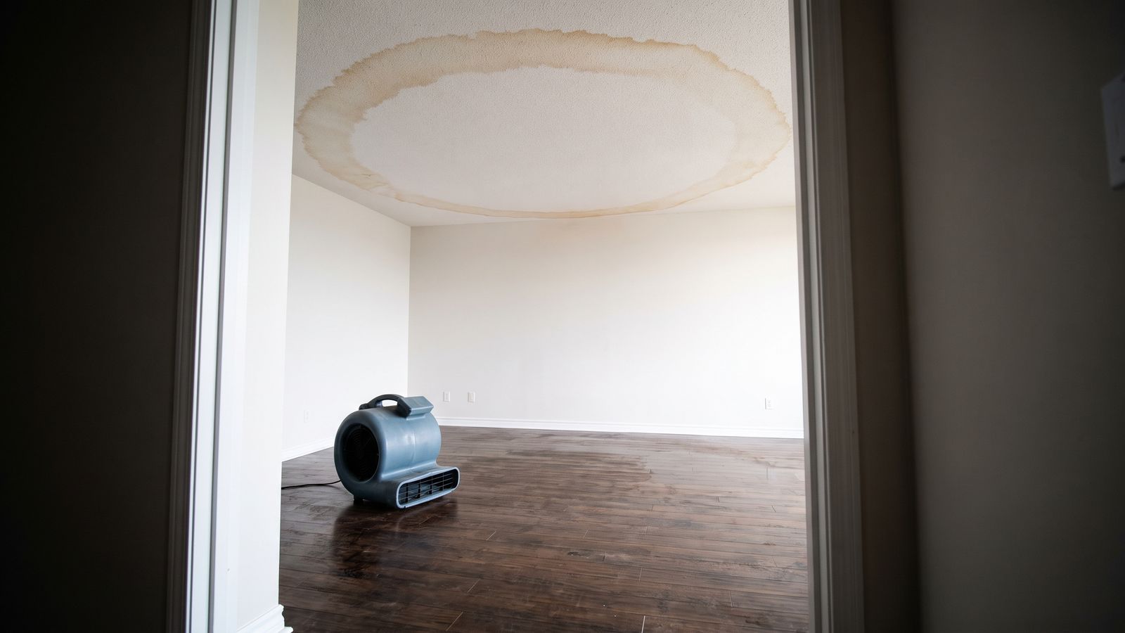 Air mover drying a room below a stained ceiling Air mover on a wet plank floor under a ring-stained ceiling, the equipment stage of condo ceiling leak drying.