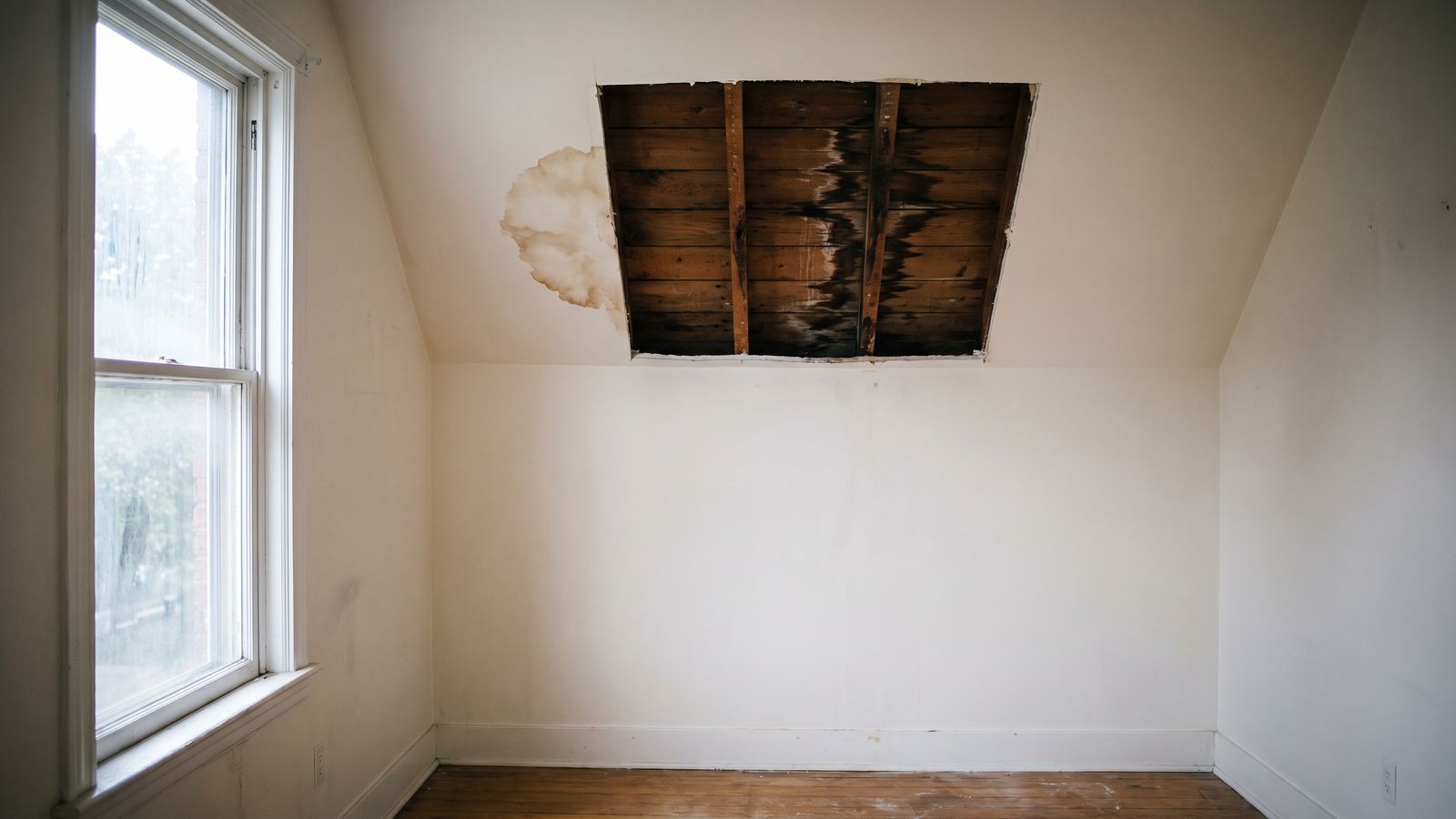 Opened ceiling exposing water-blackened joists Opened ceiling rectangle exposing water-blackened joists beside a brown stain, tracing a condo ceiling leak source.