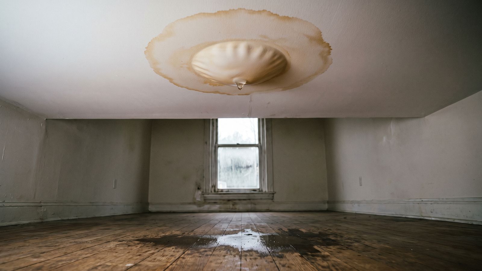 Blistered condo ceiling under a water stain Water-stained condo ceiling swollen into a paint blister with a drop forming, the ceiling leak DC condo owners notice first.