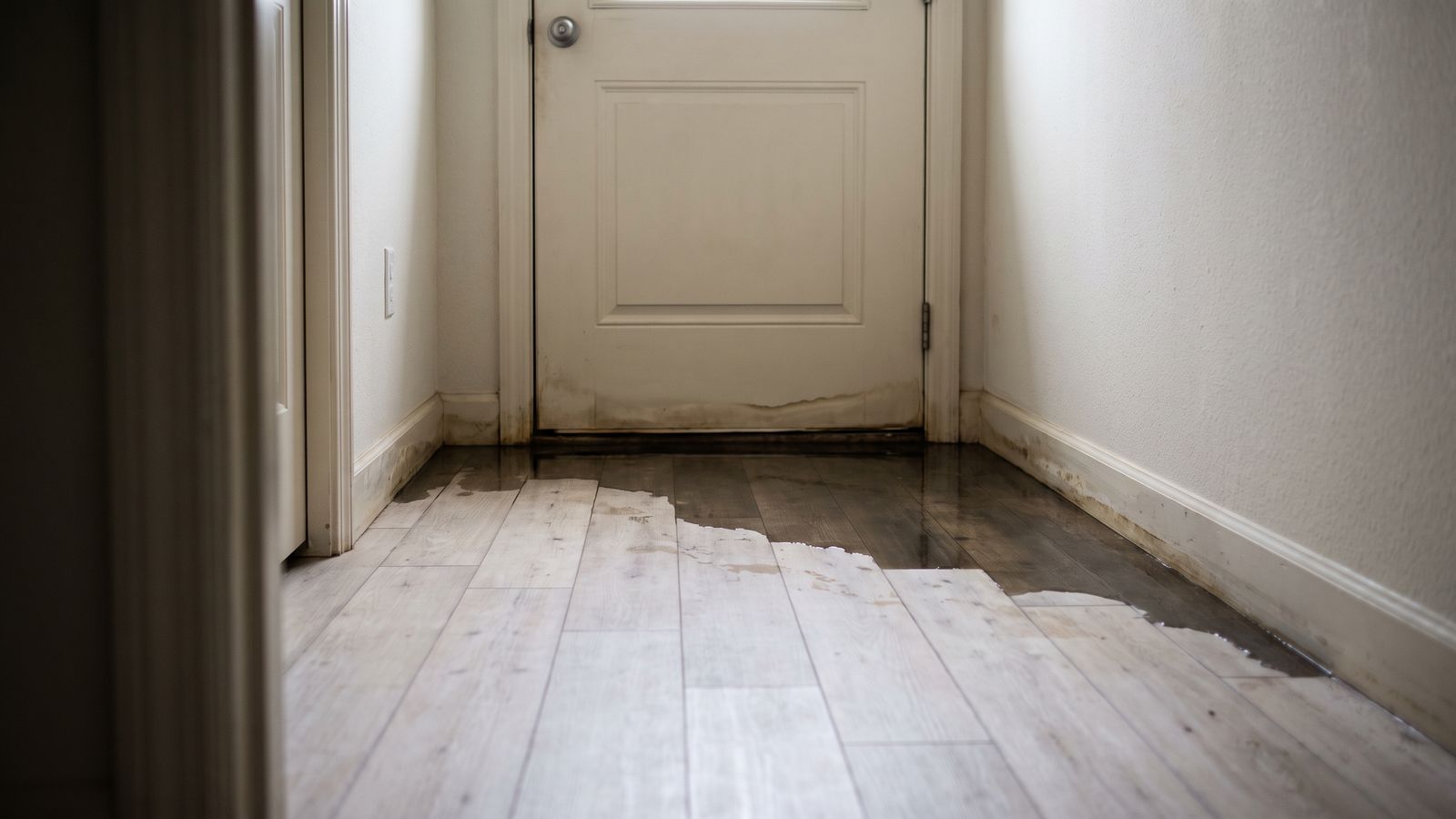 Water spreading from under a closed door Water spreading from under a closed door across plank flooring, wet evidence of a condo ceiling leak.