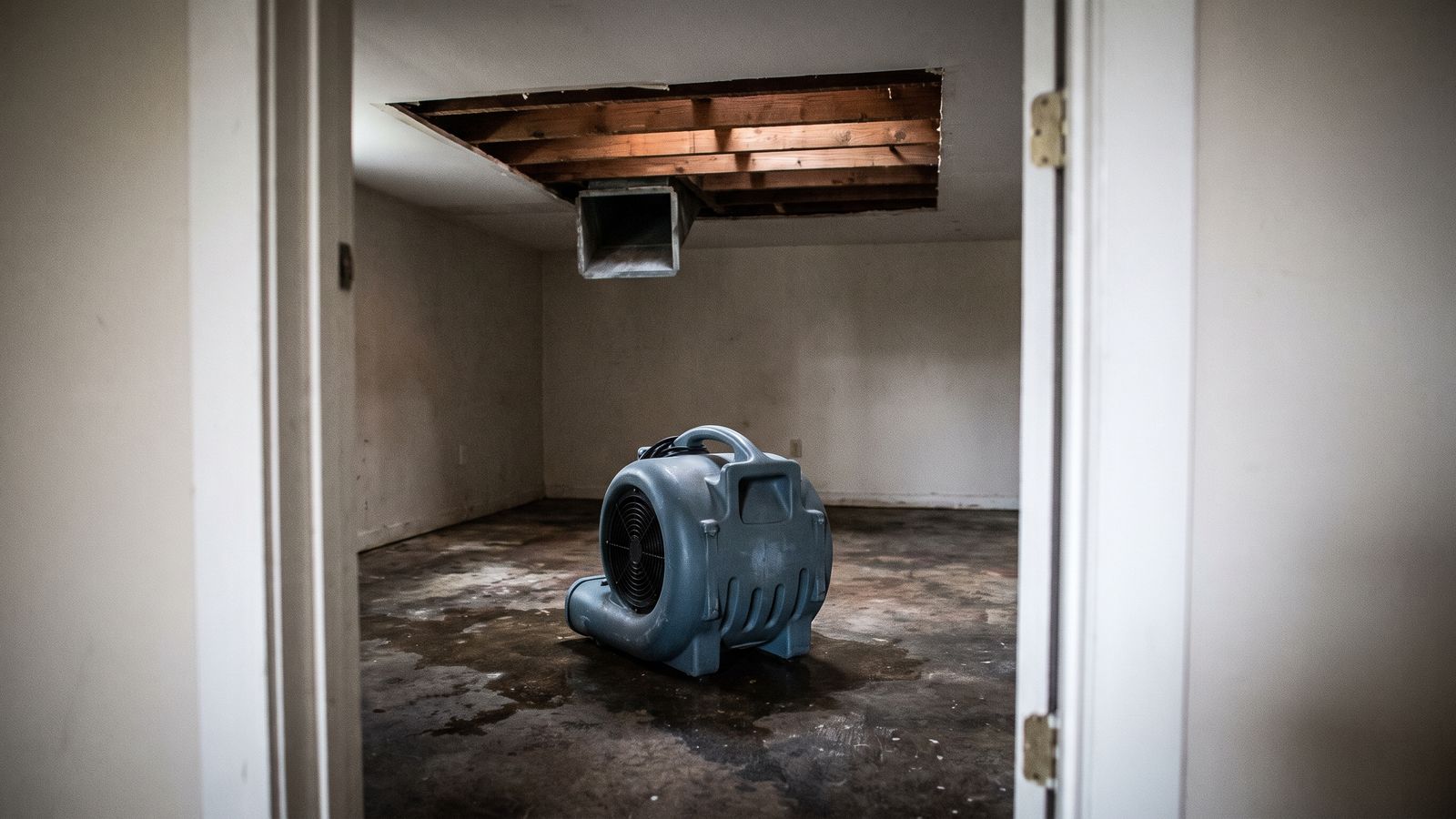 Air mover below an opened basement ceiling Air mover on a wet slab below a ceiling opened to bare joists, the drying step after English basement water damage in DC