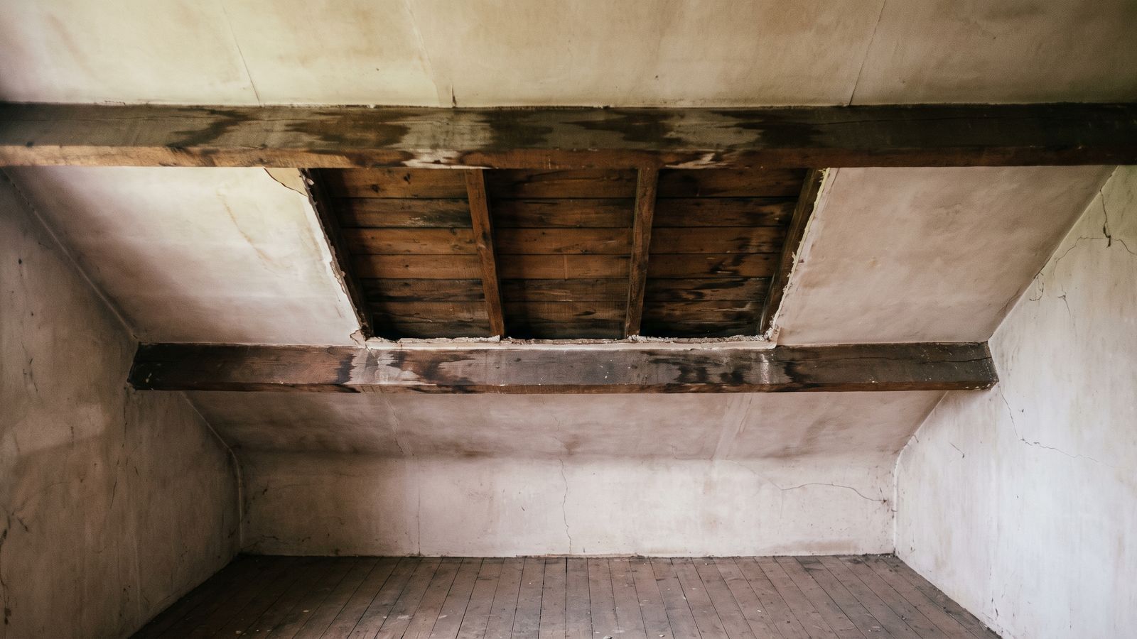 Opened ceiling with water-stained joists Opened plaster ceiling exposing water-stained joists and roof boards after a flat roof leak in a row house
