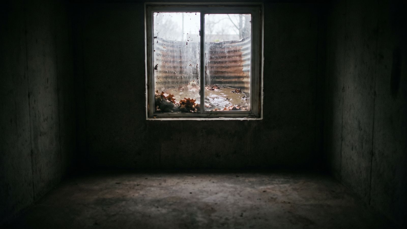 Muddy standing water and wet leaves in a window well outside a dark basement, the surface water DC flood zones track