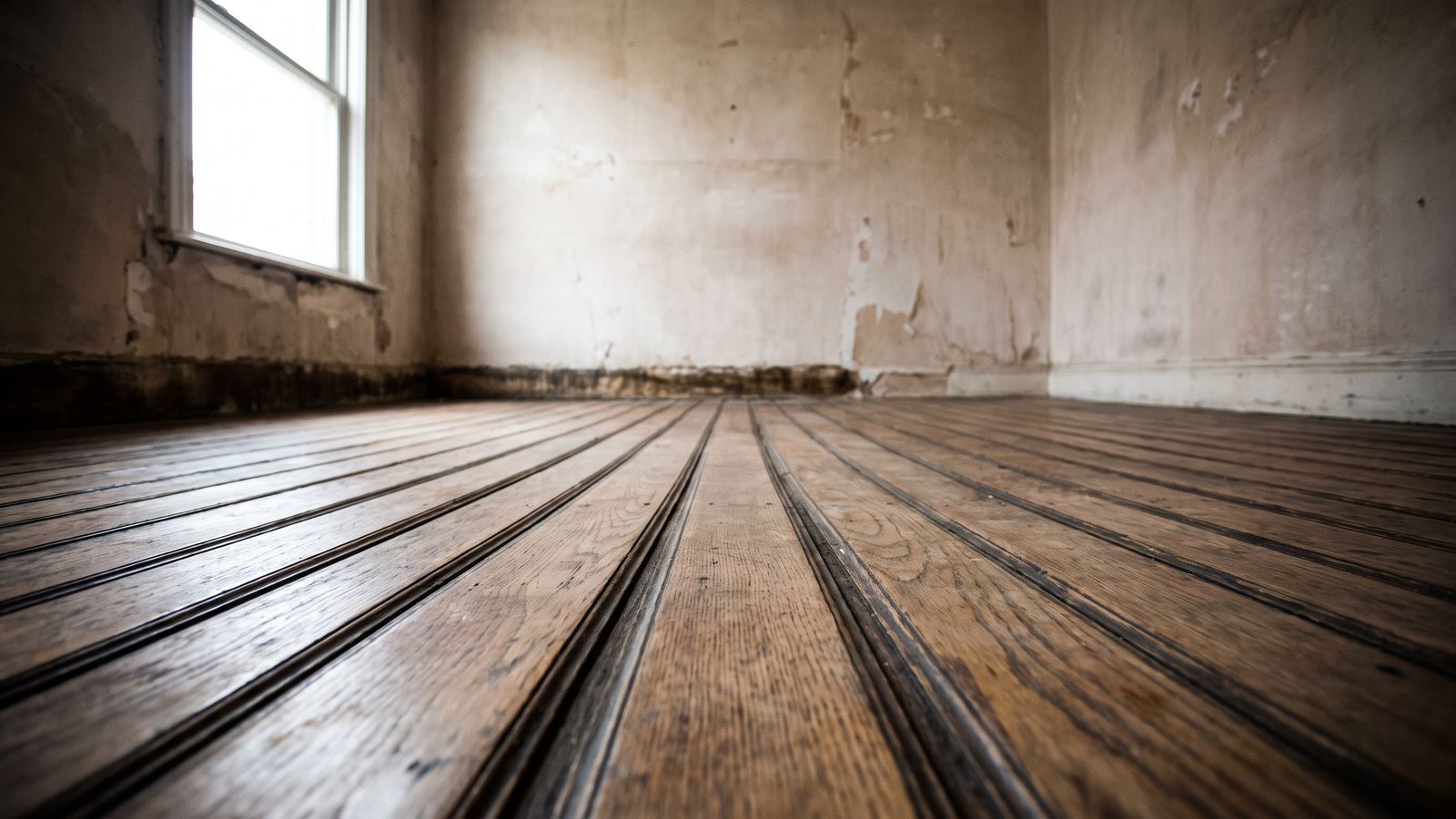 Cupped hardwood strip flooring and dark staining at the wall base show mold after water damage