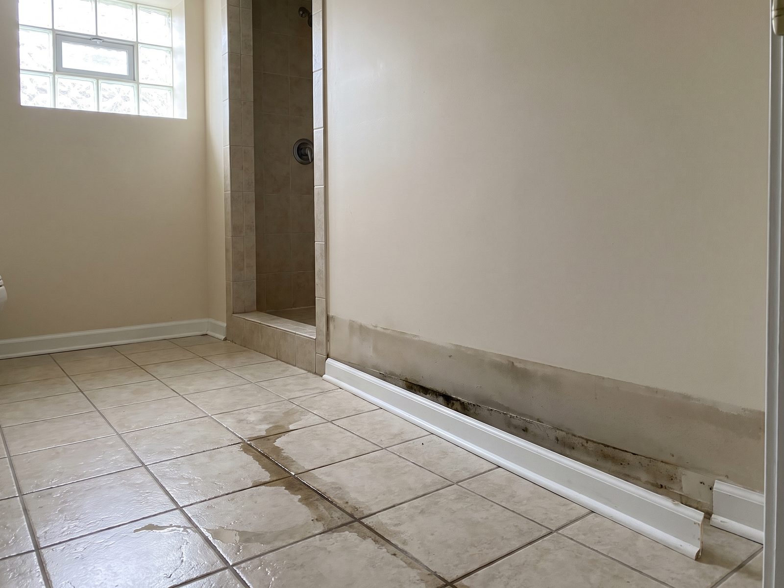Staining at the base of a below-grade bathroom wall Water staining at the base of a below-grade bathroom wall with the base trim pulled away and lying on the tile floor.