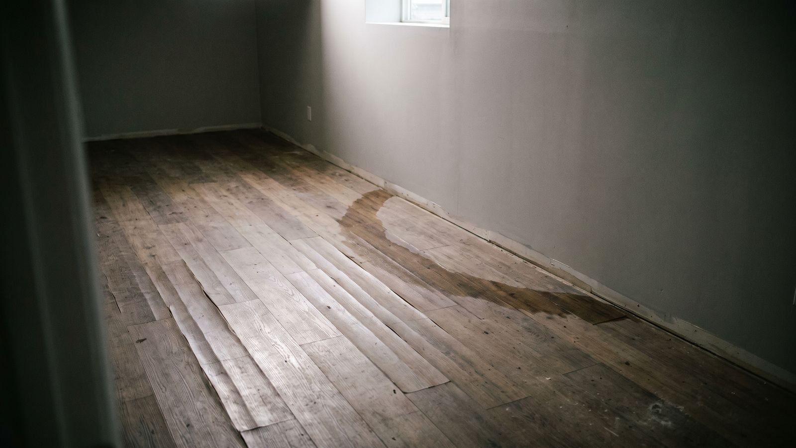 Cupped plank flooring with a water tide line Cupped plank flooring and a spreading tide line in a below-grade room, damage the sump pump failure DC storms leave.