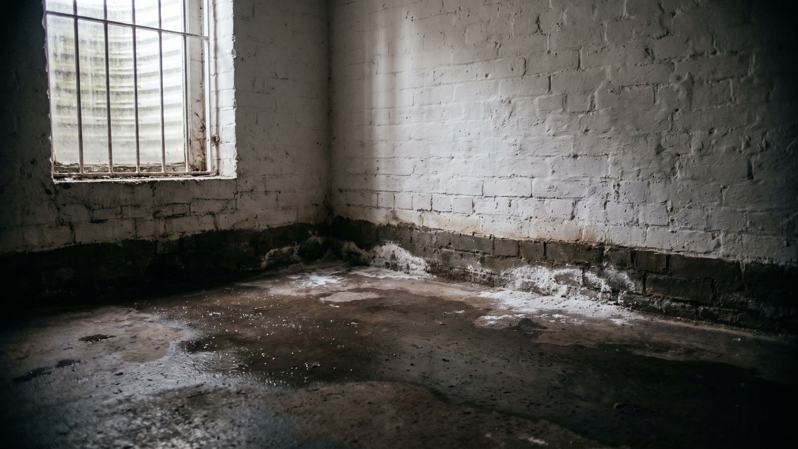 Efflorescence and a damp tide line where a brick basement wall meets a wet slab after water damage in a DC row house