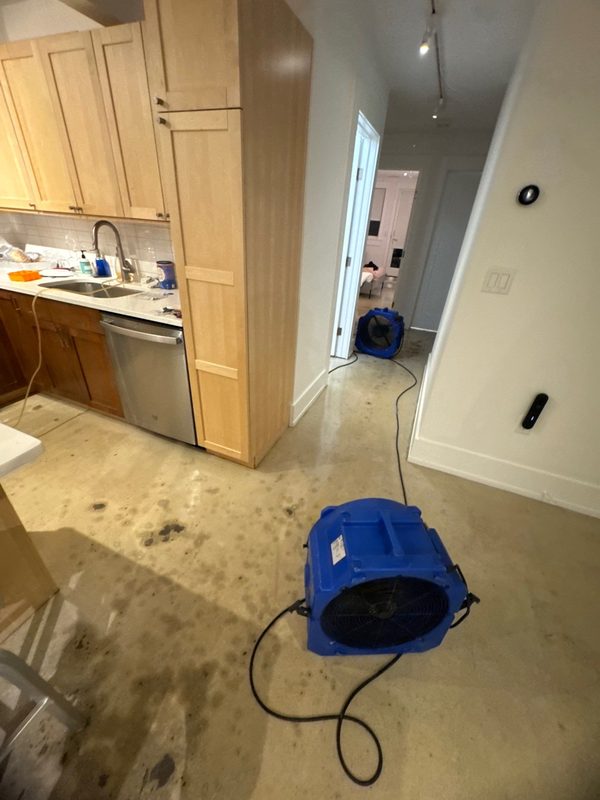Blue air mover on a wet polished concrete kitchen floor in a garden-level apartment in Shaw, Washington, DC, July 2025