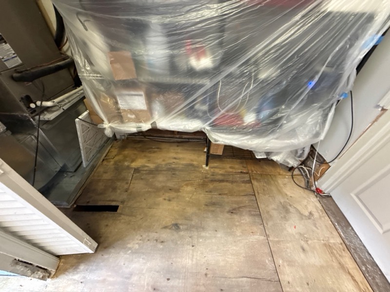 Washington, DC project after emergency water extraction and dry-out on a documented loss