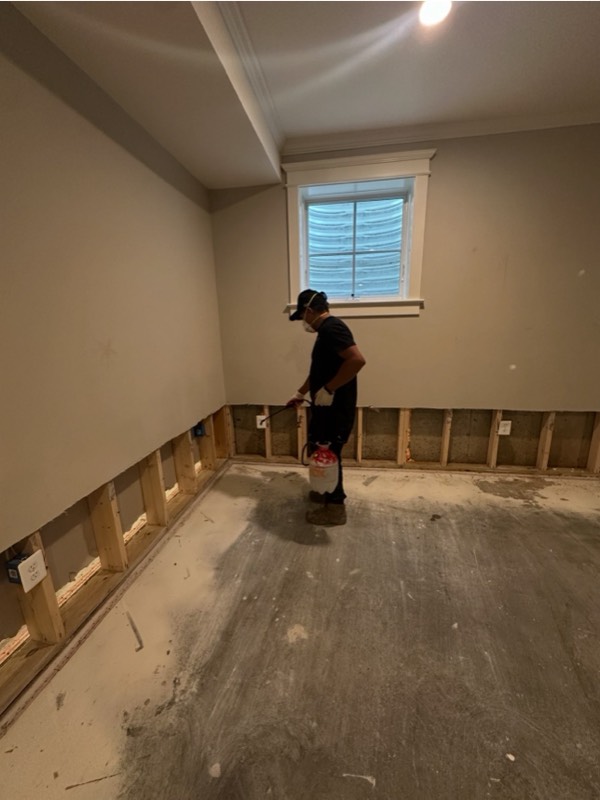 Bethesda, MD home after flooded carpet extraction and structural drying