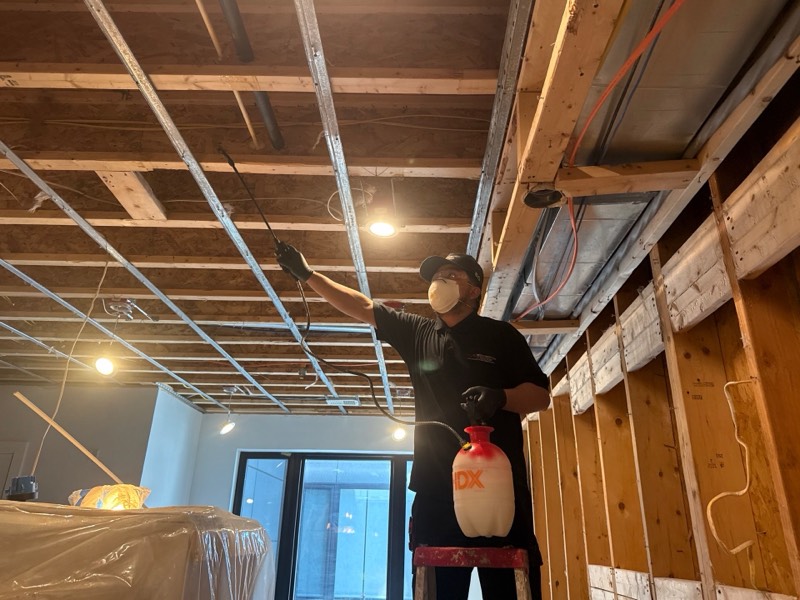Moisture mapping and structural drying on a documented Washington, DC water damage project