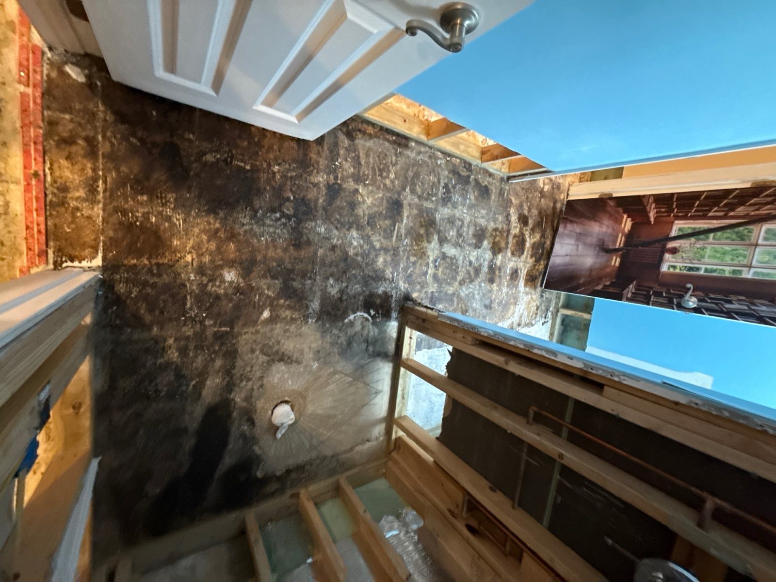 After photo: completed mold remediation in Arlington, VA — Restoration Doctor project documentation