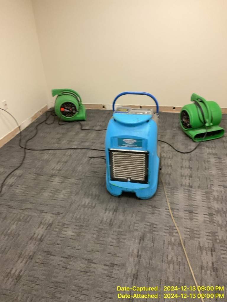 Two green air movers and a blue dehumidifier on carpet in an office room in a multi-floor office building in Washington, DC, December 2024