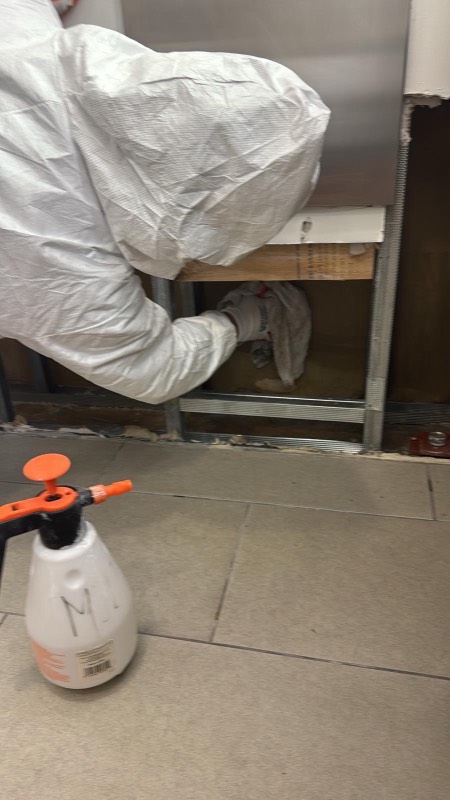 Washington, DC project after cleaning and antimicrobial treatment of a contaminated-water loss